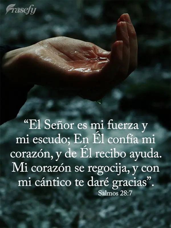 “O senhor é a minha força e o meu escudo; Nele o meu coração confia e Dele recebo ajuda. Meu coração exulta de alegria e com meu cântico lhe dar...