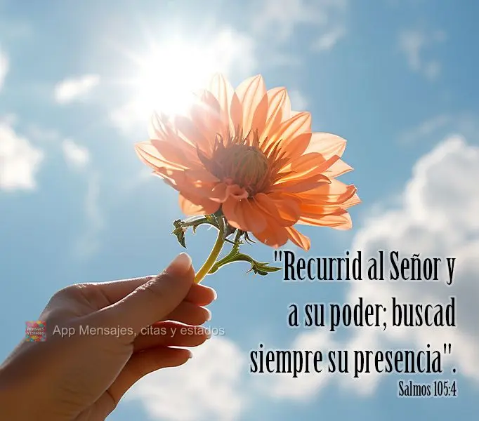 "Recurrid al Señor y a su poder; buscad siempre su presencia". Salmos 105:4