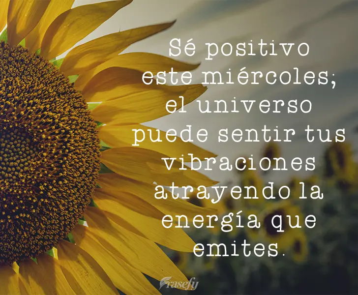Sé positivo este miércoles; el universo puede sentir tus vibraciones atrayendo la energía que emites.