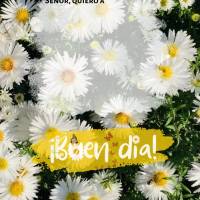 Señor, quiero agradecerte con todo mi corazón
y habla de todas tus maravillas. En ti quiero regocijarme y exultar,
y cantamos alabanzas a tu nombre, ...