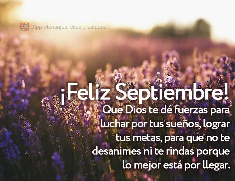 Que Dios te dé fuerzas para luchar por tus sueños, lograr tus metas, para que no te desanimes ni te rindas porque lo mejor está por llegar. ¡Feliz se...