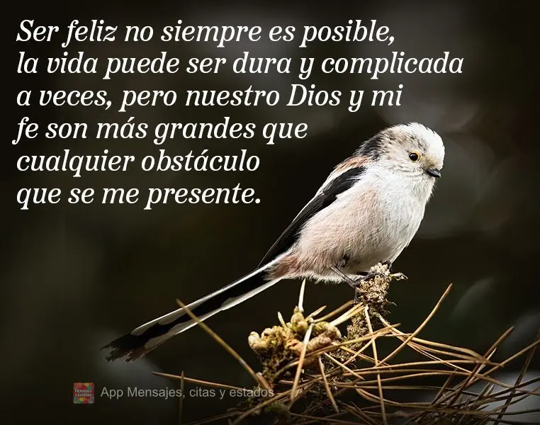 Ser feliz no siempre es posible, la vida puede ser dura y complicada a veces, pero nuestro Dios y mi fe son más grandes que cualquier obstáculo que se ...