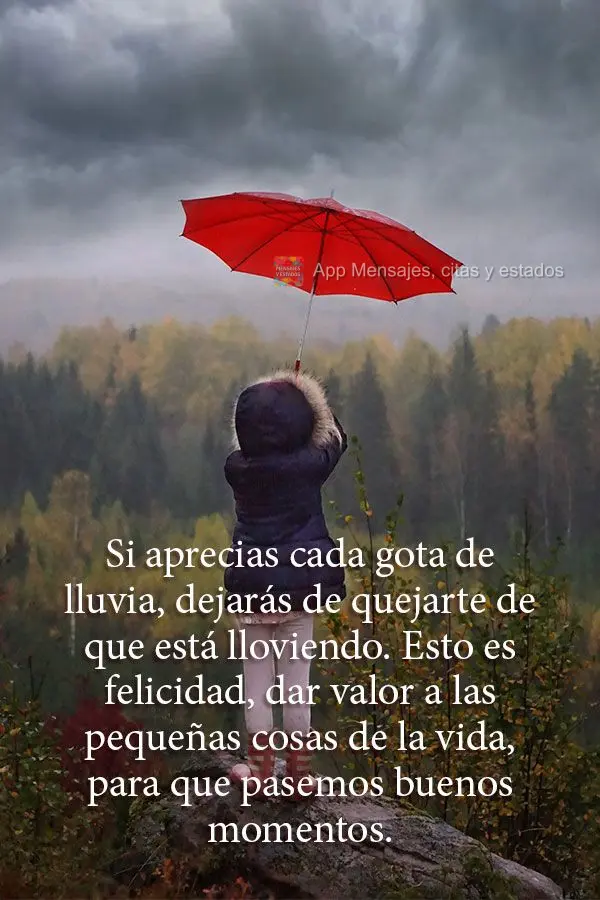 Si aprecias cada gota de lluvia, dejarás de quejarte de que está lloviendo. Esto es felicidad, dar valor a las pequeñas cosas de la vida, para que pas...