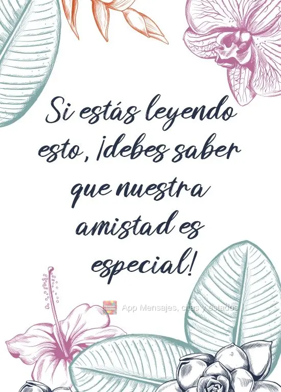 Si estás leyendo esto, ¡debes saber que nuestra amistad es especial!