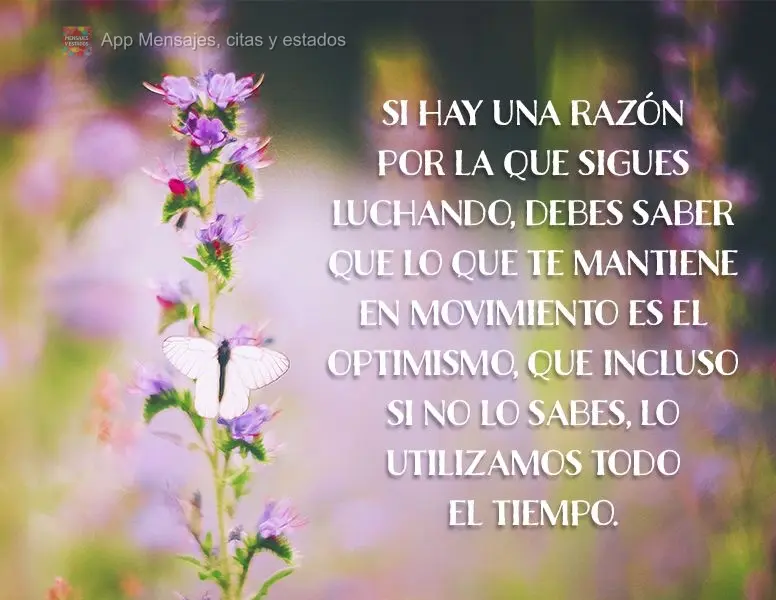 Si hay una razón por la que sigues luchando, debes saber que lo que te mantiene en movimiento es el optimismo, que incluso si no lo sabes, lo utilizamos...