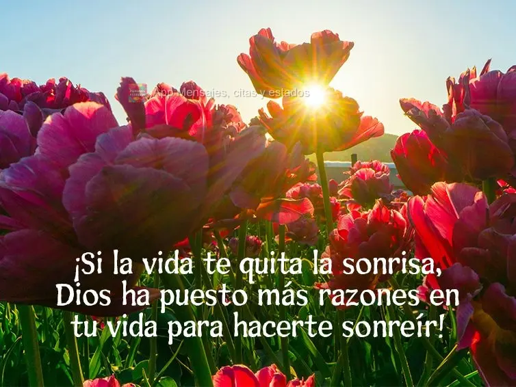 ¡Si la vida te quita la sonrisa, Dios ha puesto más razones en tu vida para hacerte sonreír!