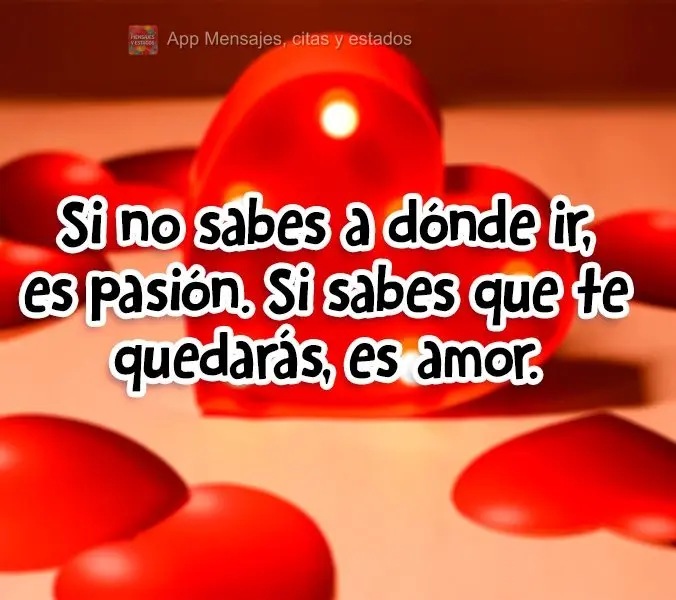 Si no sabes a dónde ir, es pasión. Si sabes que te quedarás, es amor.