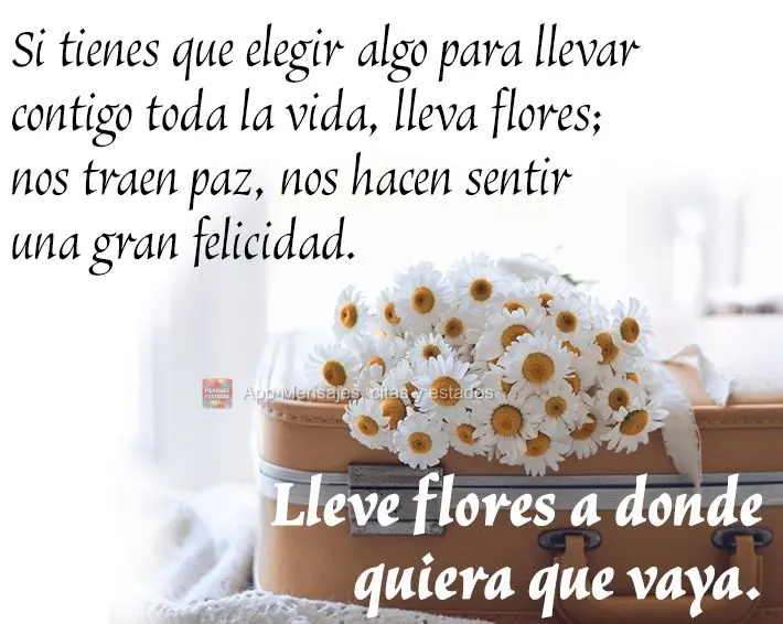 Si tienes que elegir algo para llevar contigo toda la vida, lleva flores; nos traen paz, nos hacen sentir una gran felicidad. Lleve flores a donde quiera...