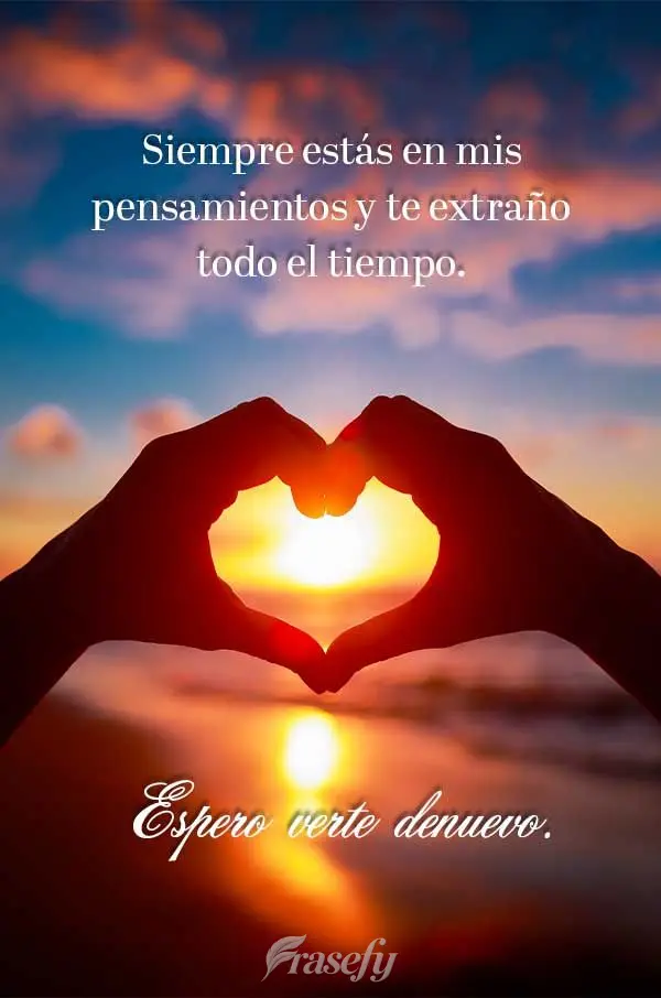 Siempre estás en mis pensamientos y te extraño todo el tiempo. Espero verte denuevo.