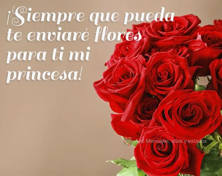 ¡Siempre que pueda te enviaré flores para ti mi princesa!