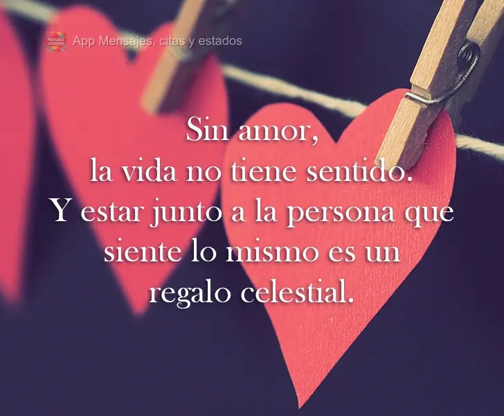 Sin amor, la vida no tiene sentido. Y estar junto a la persona que siente lo mismo es un regalo celestial.
