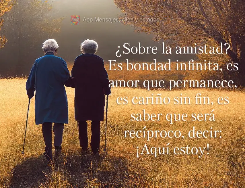 ¿Sobre la amistad? Es bondad infinita, es amor que permanece, es cariño sin fin, es saber que será recíproco, decir: ¡Aquí estoy!