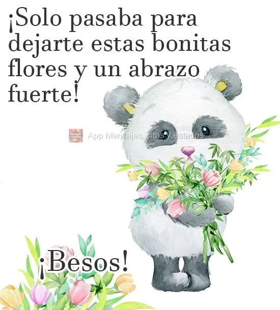 ¡Solo pasaba para dejarte estas bonitas flores y un abrazo fuerte! ¡Besos!