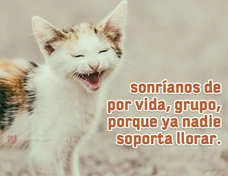 Sonríanos de por vida, grupo, porque ya nadie soporta llorar.