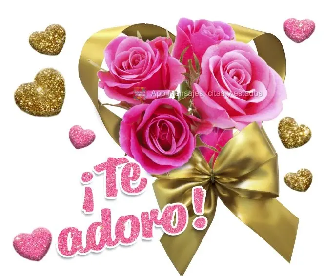 ¡Te adoro!