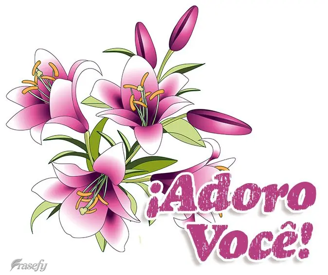 ¡Te adoro!