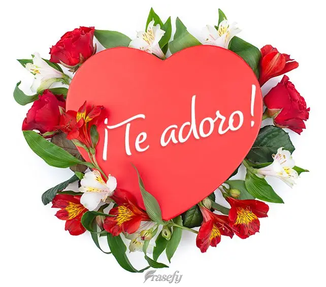 ¡Te adoro!