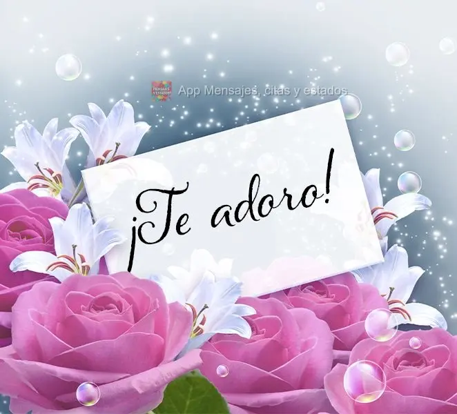 ¡Te adoro!