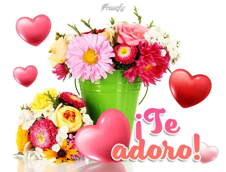 ¡Te adoro!