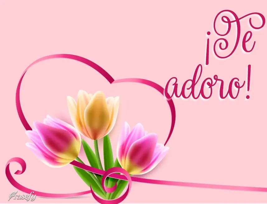 ¡Te adoro!