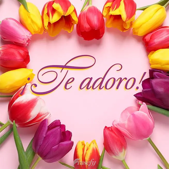 ¡Te adoro!