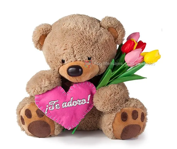 ¡Te adoro!