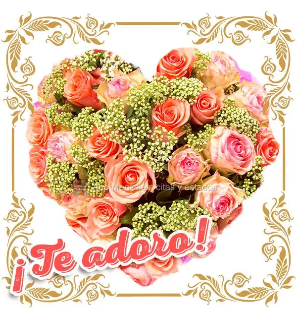 ¡Te adoro!