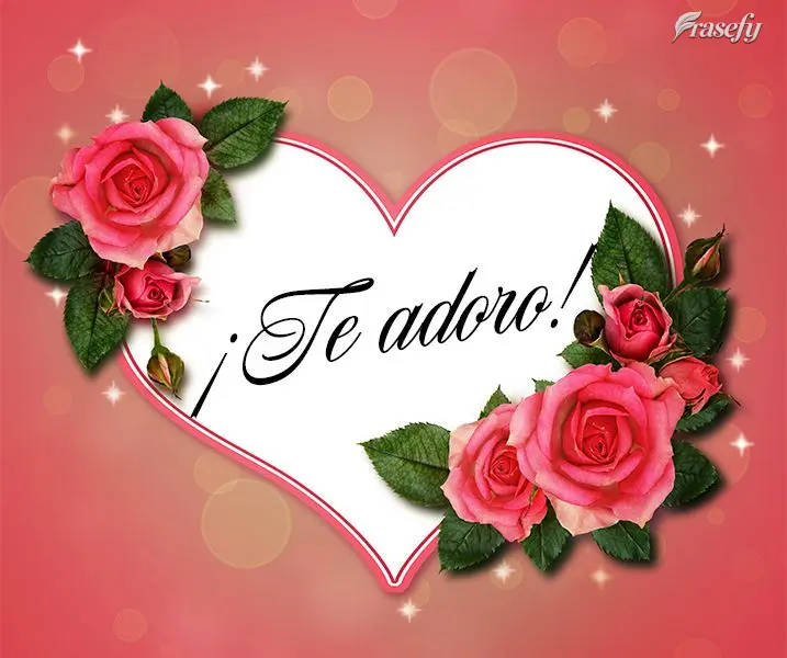 ¡Te adoro!