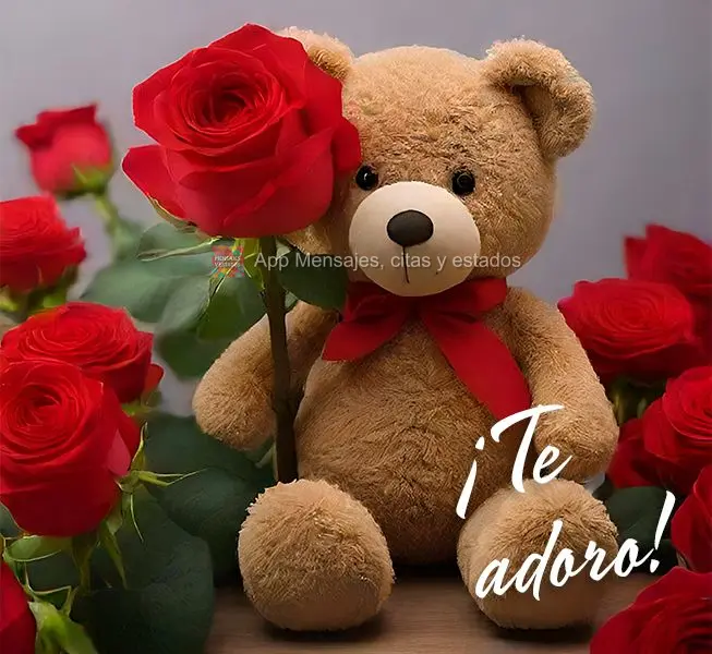 ¡Te adoro!
