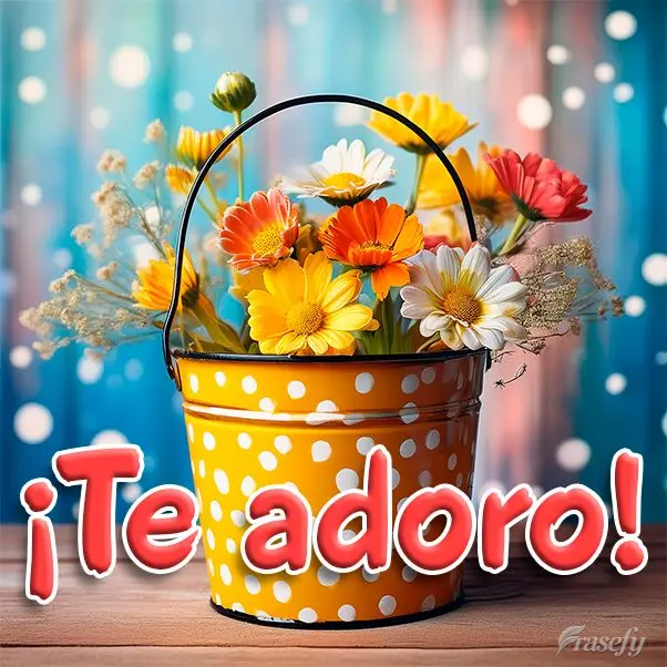 ¡Te adoro!