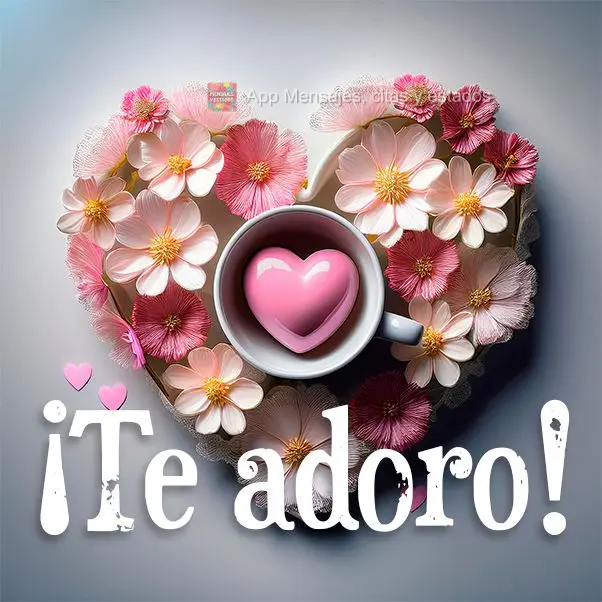¡Te adoro!