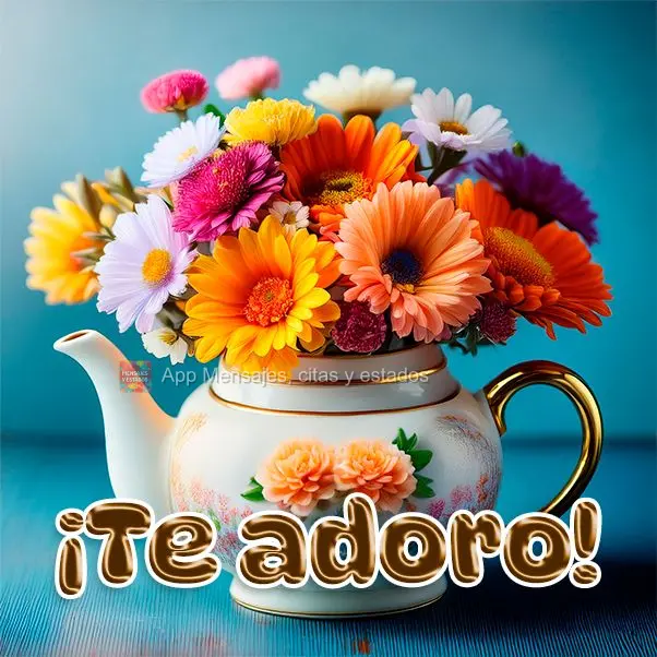 ¡Te adoro!