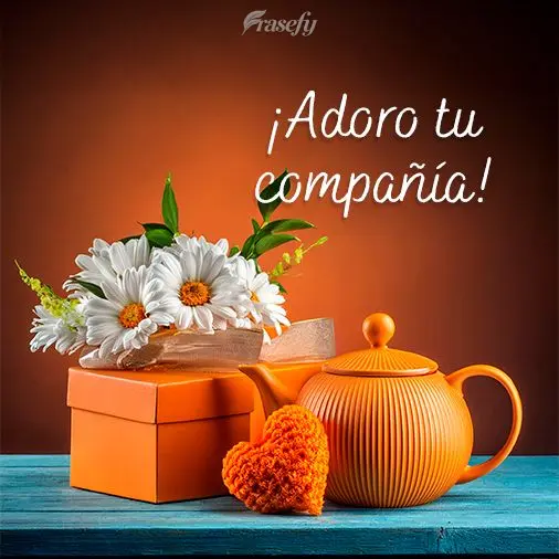 ¡Adoro tu compañía!