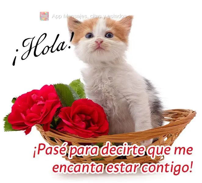 ¡Hola! ¡Pasé para decirte que me encanta estar contigo!