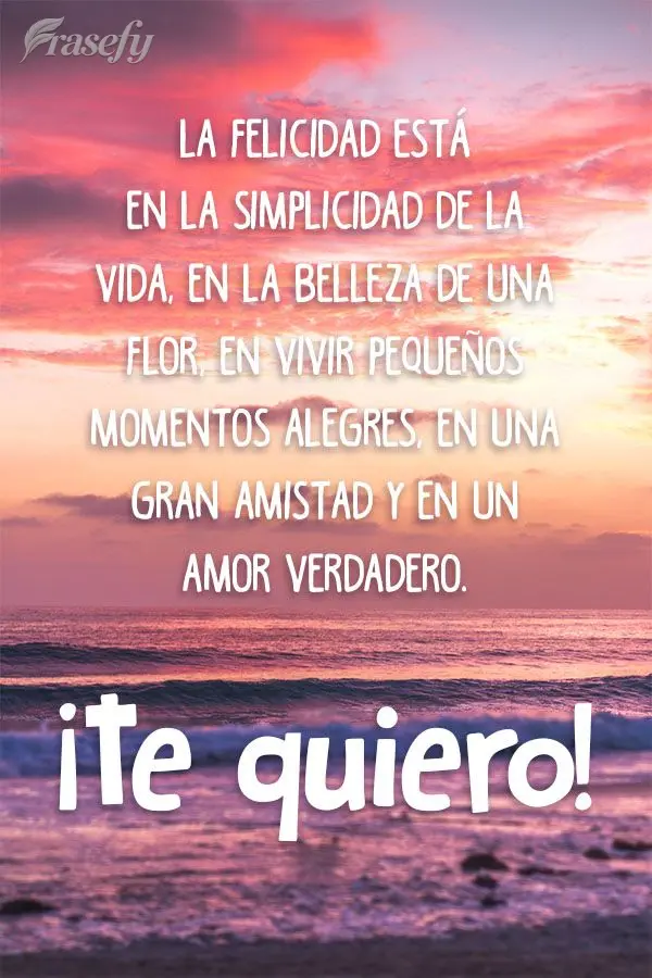 La felicidad está en la simplicidad de la vida, en la belleza de una flor, en vivir pequeños momentos alegres, en una gran amistad y en un amor verdade...