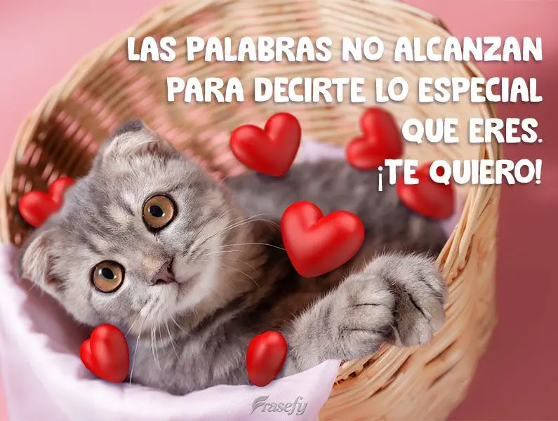 Las palabras no alcanzan para decirte lo especial que eres. ¡Te quiero!