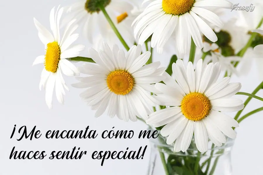 ¡Me encanta cómo me haces sentir especial!