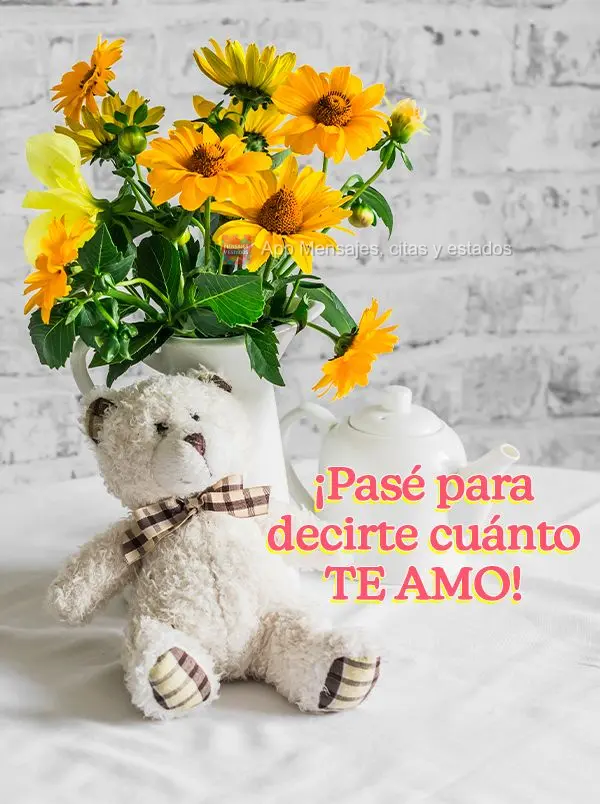 ¡Pasé para decirte cuánto te amo!