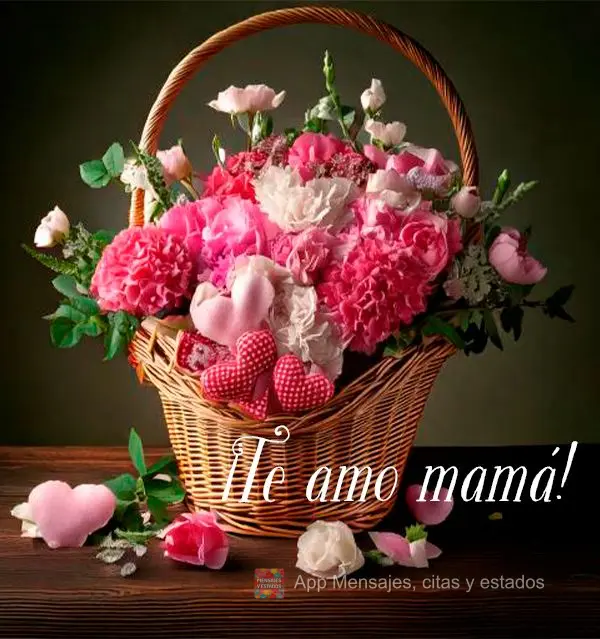 ¡Te amo mamá!