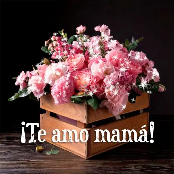 ¡Te amo mamá!