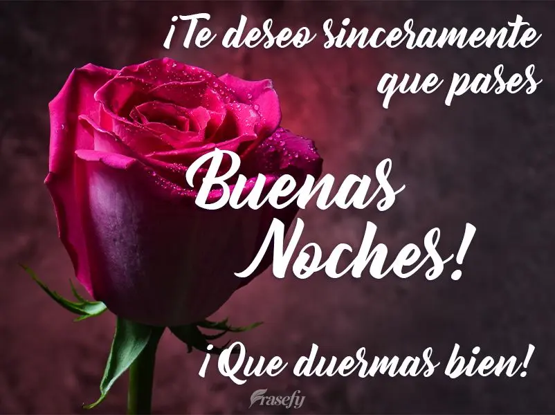 ¡Te deseo sinceramente que pases buenas noches! ¡Que duermas bien!