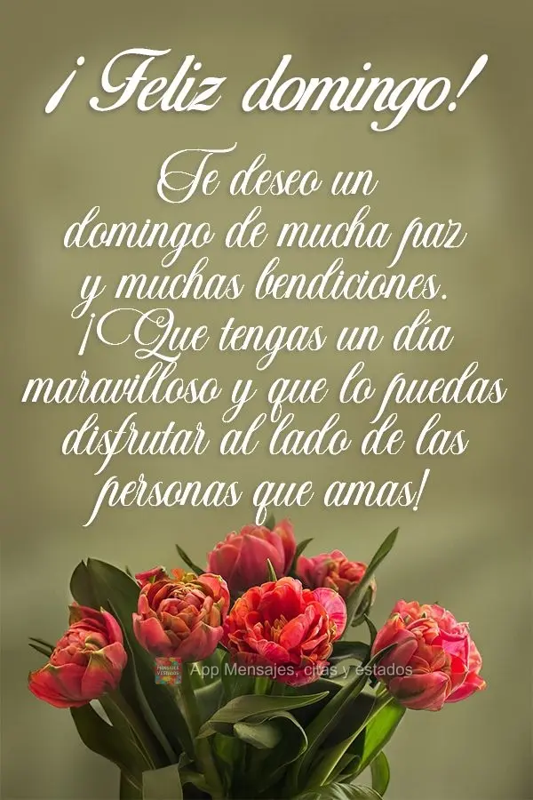 Te deseo un domingo de mucha paz y muchas bendiciones. ¡Que tengas un día maravilloso y que lo puedas disfrutar al lado de las personas que amas! ¡Fel...