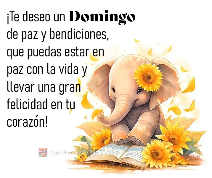 ¡Te deseo un domingo de paz y bendiciones, que puedas estar en paz con la vida y llevar una gran felicidad en tu corazón!