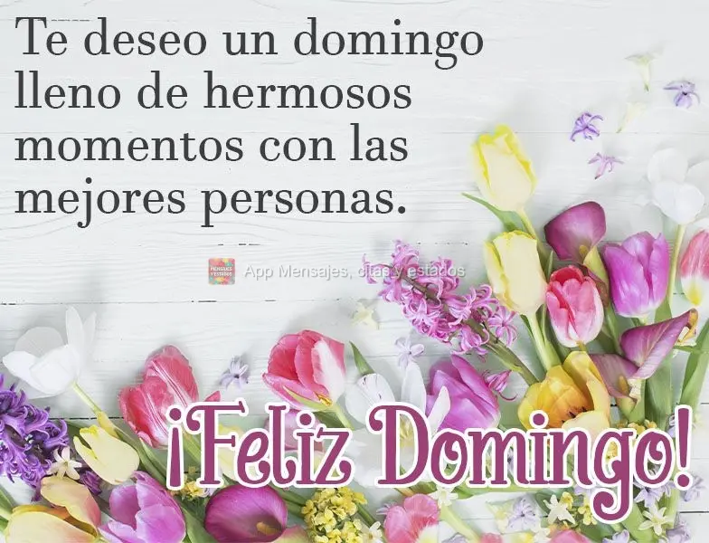 Te deseo un domingo lleno de hermosos momentos con las mejores personas. ¡Feliz Domingo!
