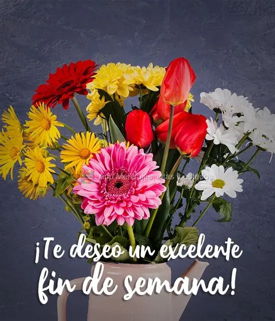 ¡Te deseo un excelente fin de semana!