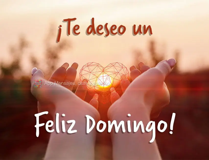 ¡Te deseo un feliz domingo!