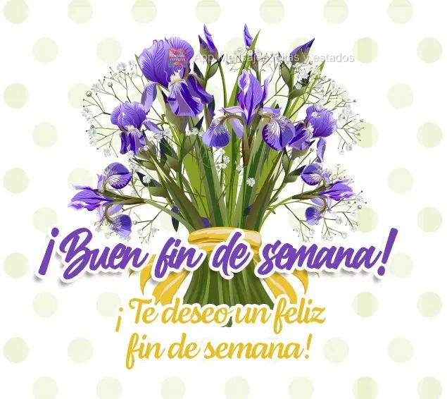 ¡Te deseo un feliz fin de semana! ¡Buen fin de semana!