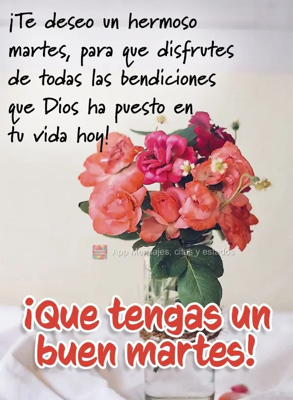 ¡Te deseo un hermoso martes, para que disfrutes de todas las bendiciones que Dios ha puesto en tu vida hoy! ¡Que tengas un buen martes!