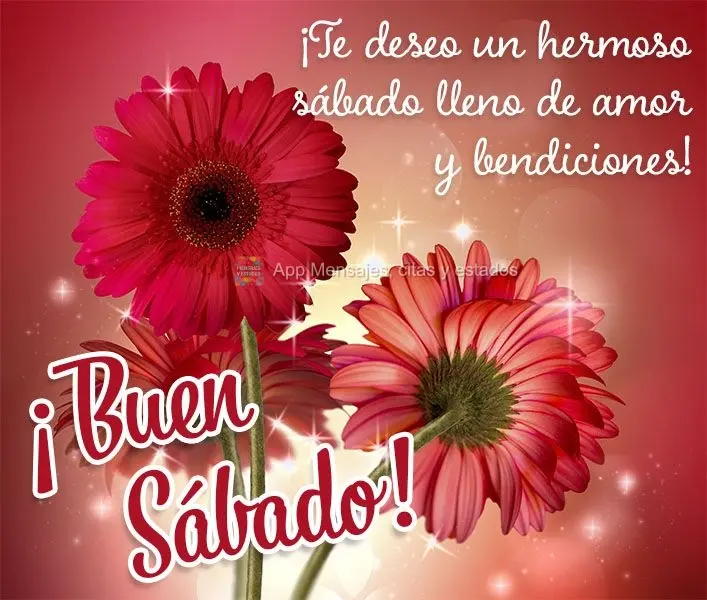 ¡Te deseo un hermoso sábado lleno de amor y bendiciones! ¡Buen Sábado!
