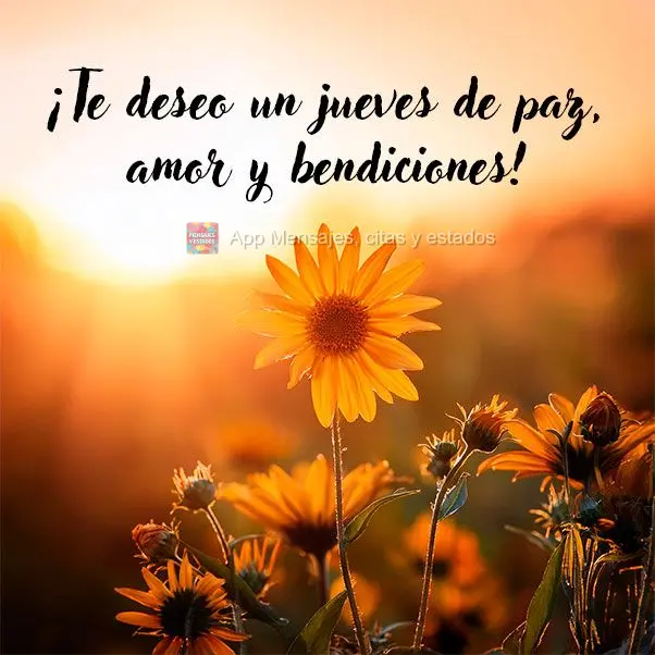 ¡Te deseo un jueves de paz, amor y bendiciones!